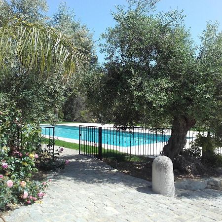 La Bastide De L'Oliveraie Le Castellet  Dış mekan fotoğraf
