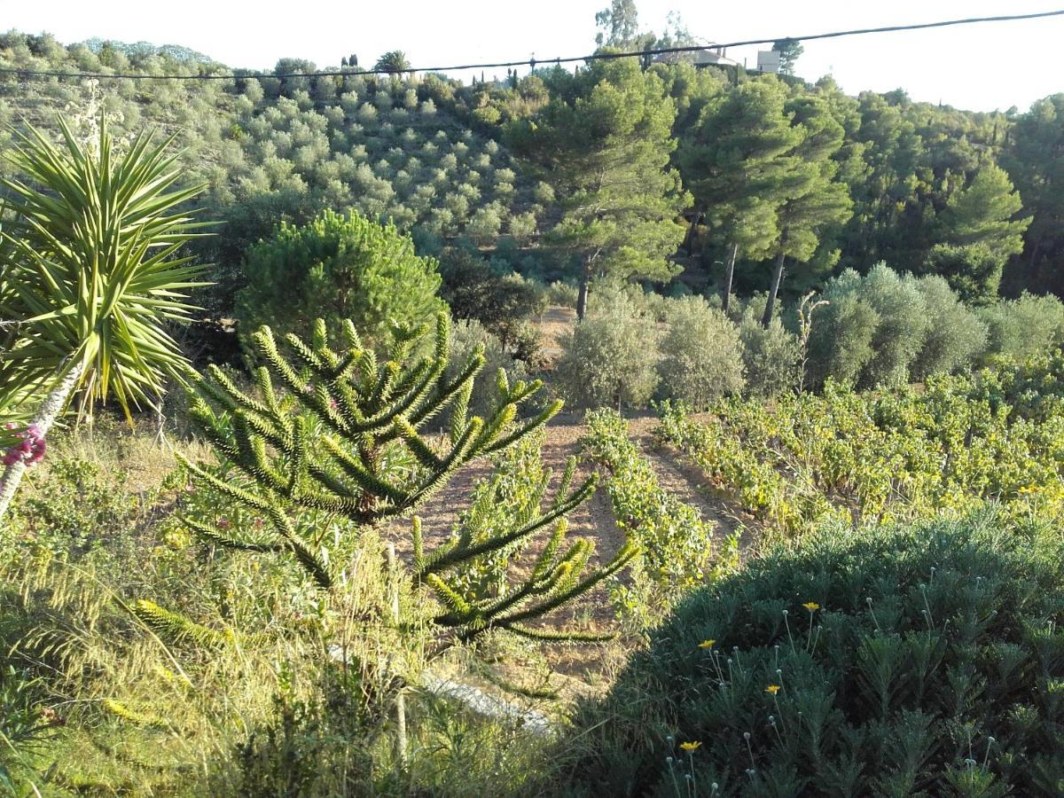 La Bastide De L'Oliveraie Le Castellet  Dış mekan fotoğraf